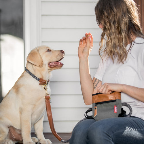 BeOneBreed BeOneBreed Treat Pouch - Grau