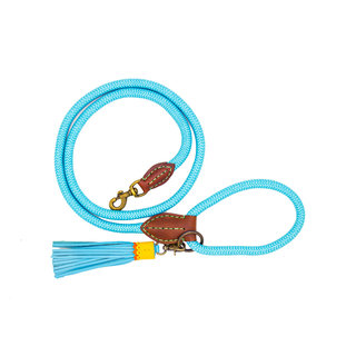 DWAM Dog Leash