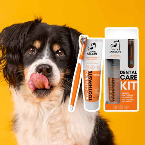 DogsLife Dogslife Dental Kit