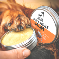 DogsLife Dogslife Paw & Nose Balm