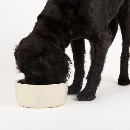 Scruffs® Scruffs Icon Pet Food Bowl - Futternapf