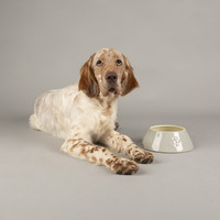 Scruffs® Scruffs Icon Long Eared Pet Bowl