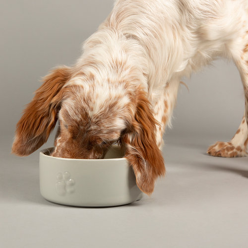 Scruffs® Scruffs Icon Pet Food Bowl - Futternapf