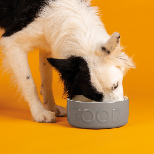 Scruffs® Scruffs Classic Pet Food Bowl