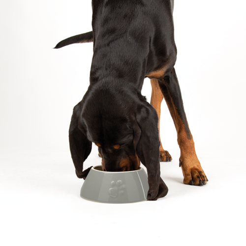 Scruffs® Scruffs Classic Long Eared Pet Bowl Bowl - 4 Stk.