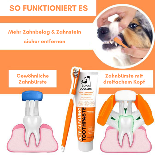 DogsLife Dogslife Dental Kit