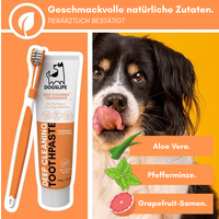 DogsLife Dogslife Dental Kit
