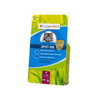 Bogar bogaprotect® SPOT-ON cat