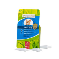 Bogar bogaprotect® SPOT-ON cat