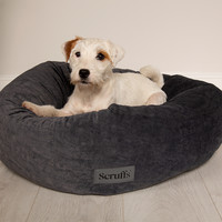 Scruffs Oslo Ring Bed - Heimtierbett Scruffs® Scruffs Oslo Ring Bed - Heimtierbett