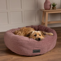 Scruffs Oslo Ring Bed - Heimtierbett Scruffs® Scruffs Oslo Ring Bed - Heimtierbett
