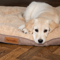 Scruffs® Scruffs Cosy Mattress