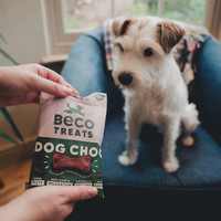 Beco Beco Treats - Dog Choc with Camomile & Quinoa 1 x 70g