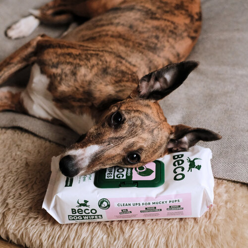 Beco Beco Bamboo Dog Wipes, Coconut Scented, 80 Pack