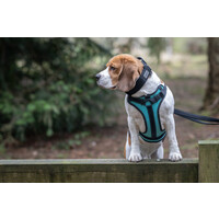 RukkaPets SOLID HARNESS - Hundegeschirr RukkaPets RukkaPets SOLID HARNESS - Hundegeschirr