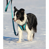 RukkaPets SOLID HARNESS - Hundegeschirr RukkaPets RukkaPets SOLID HARNESS - Hundegeschirr