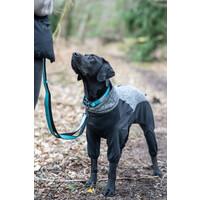 RukkaPets SOLID COLLAR - Hundehalsband RukkaPets RukkaPets SOLID COLLAR - Hundehalsband
