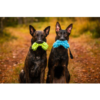 RukkaPets FLUFFY TOY - Hundespielzeug RukkaPets RukkaPets FLUFFY TOY - Hundespielzeug