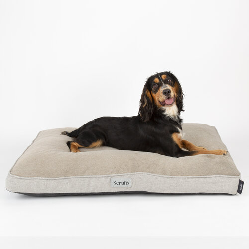 Scruffs® Scruffs - Harvard Memory Foam Orthopaedic Mattress