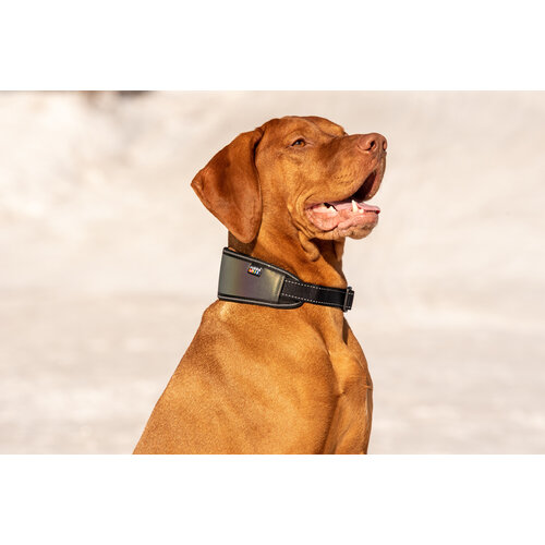 Rukka Rukka - Luminous Soft Collar - Hundehalsband