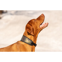 Rukka RukkaPets LUMINOUS SOFT COLLAR - S- Rainbow