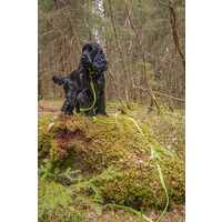RukkaPets GRIP TRACKING LEASH - S - Trekking Hundeleine Neon Gelb RukkaPets RukkaPets GRIP TRACKING LEASH - S - Trekking Hundeleine Neon Gelb
