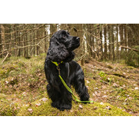 RukkaPets GRIP TRACKING LEASH - S - Trekking Hundeleine Neon Gelb RukkaPets RukkaPets GRIP TRACKING LEASH - S - Trekking Hundeleine Neon Gelb