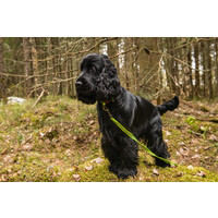 Rukka Rukka - Grip Tracking Leash - Trekking Hundeleine