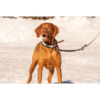 RukkaPets BLISS ANTI-SHOCK EXTENSION - Leinenerweiterung - Schwarz RukkaPets RukkaPets BLISS ANTI-SHOCK EXTENSION - Leinenerweiterung - Schwarz