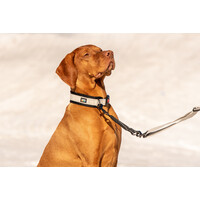 RukkaPets BLISS ANTI-SHOCK EXTENSION - Leinenerweiterung - Schwarz RukkaPets RukkaPets BLISS ANTI-SHOCK EXTENSION - Leinenerweiterung - Schwarz