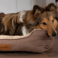 Scruffs® Cosy Box Bed Mixed Carton - 6 Pieces