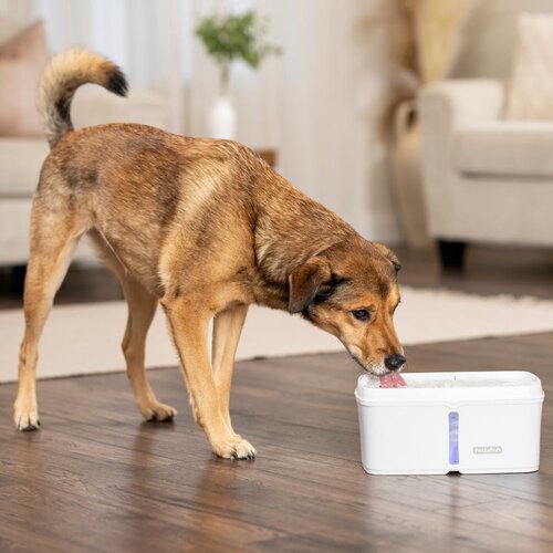 PetSafe® Viva™ Pet Fountain 4.1 L