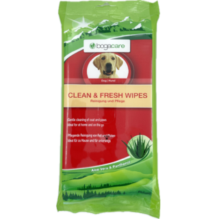 bogacare® CLEAN & FRESH WIPES Hund 15 Stk (5x)