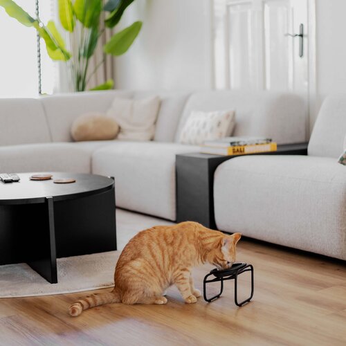 District 70 BUTLER Futternapfständer (Single) Katze