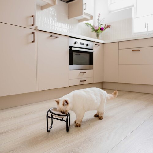 District 70 BUTLER Futternapfständer (Single) Katze