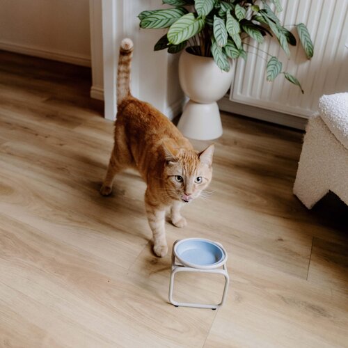 District 70 BUTLER Futternapfständer (Single) Katze