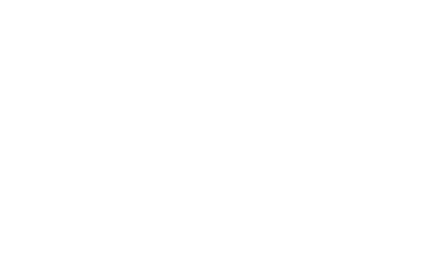 Klarna Pay Later