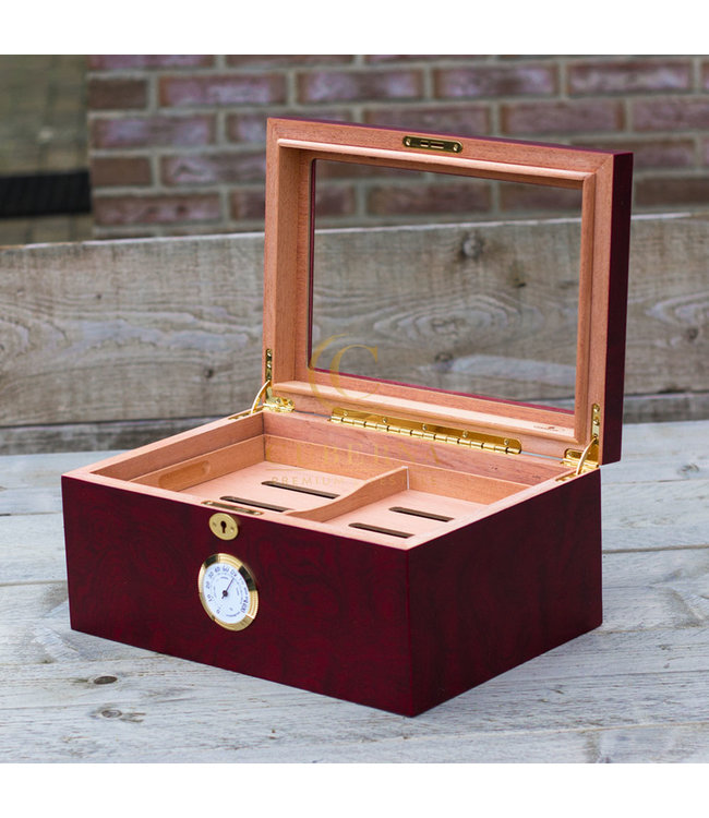 Humidor Cambridge