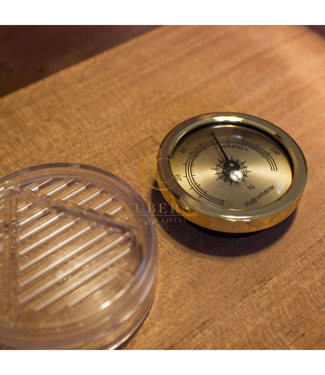 Humidor Bookwill Walnoot medium