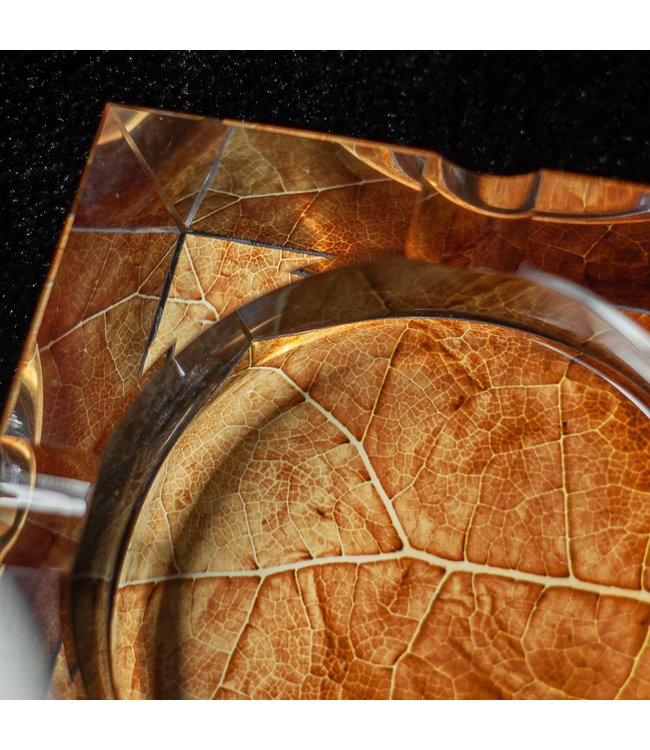 Sigarenasbak the Leave