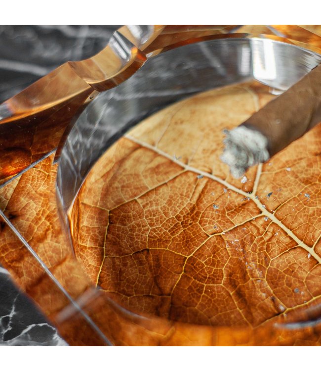 Sigarenasbak the Leave