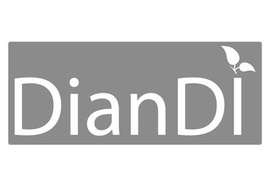 DianDi