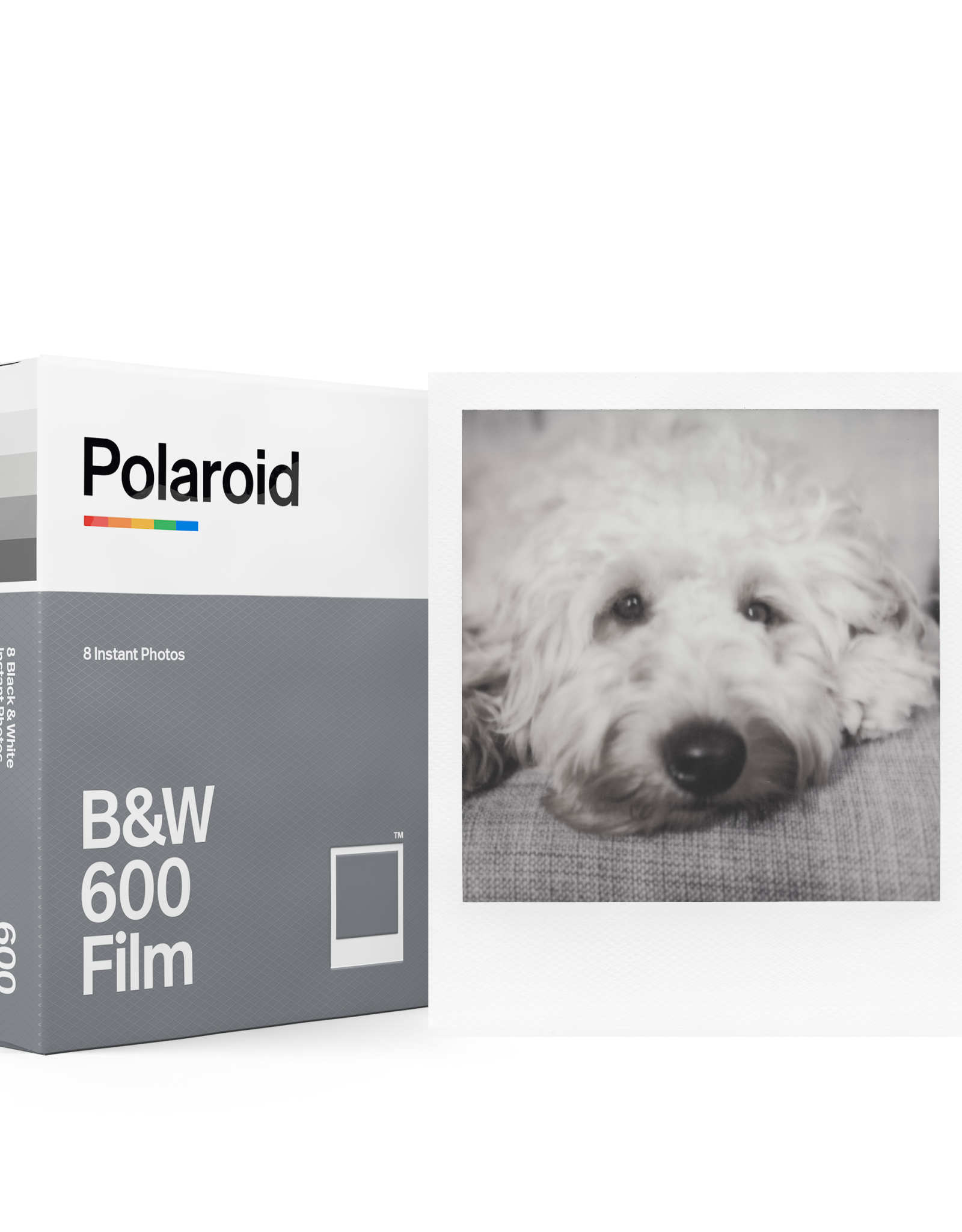 Polaroid Polaroid Type 600 Film