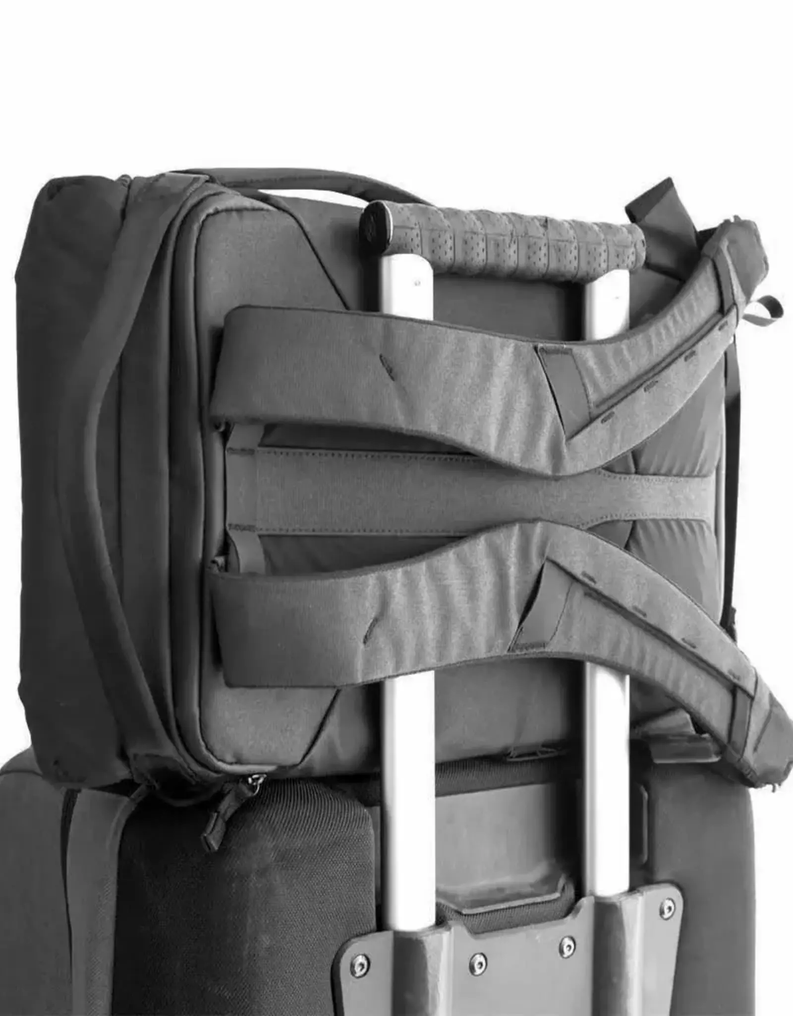 Peak Design Peak Design Everyday Backpack 30L V2