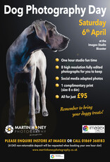 imagex Dog Photography, 6th April