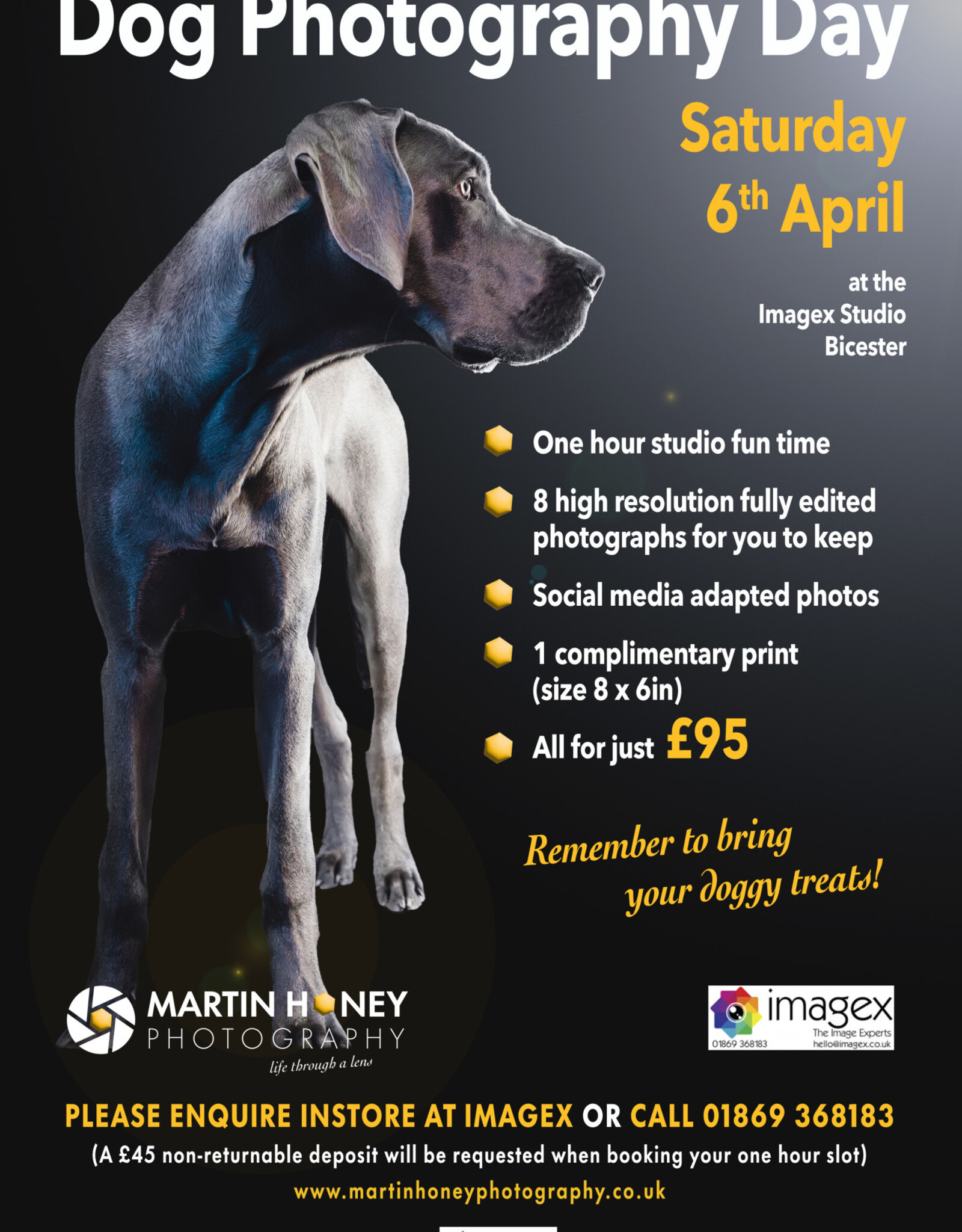 imagex Dog Photography, 6th April