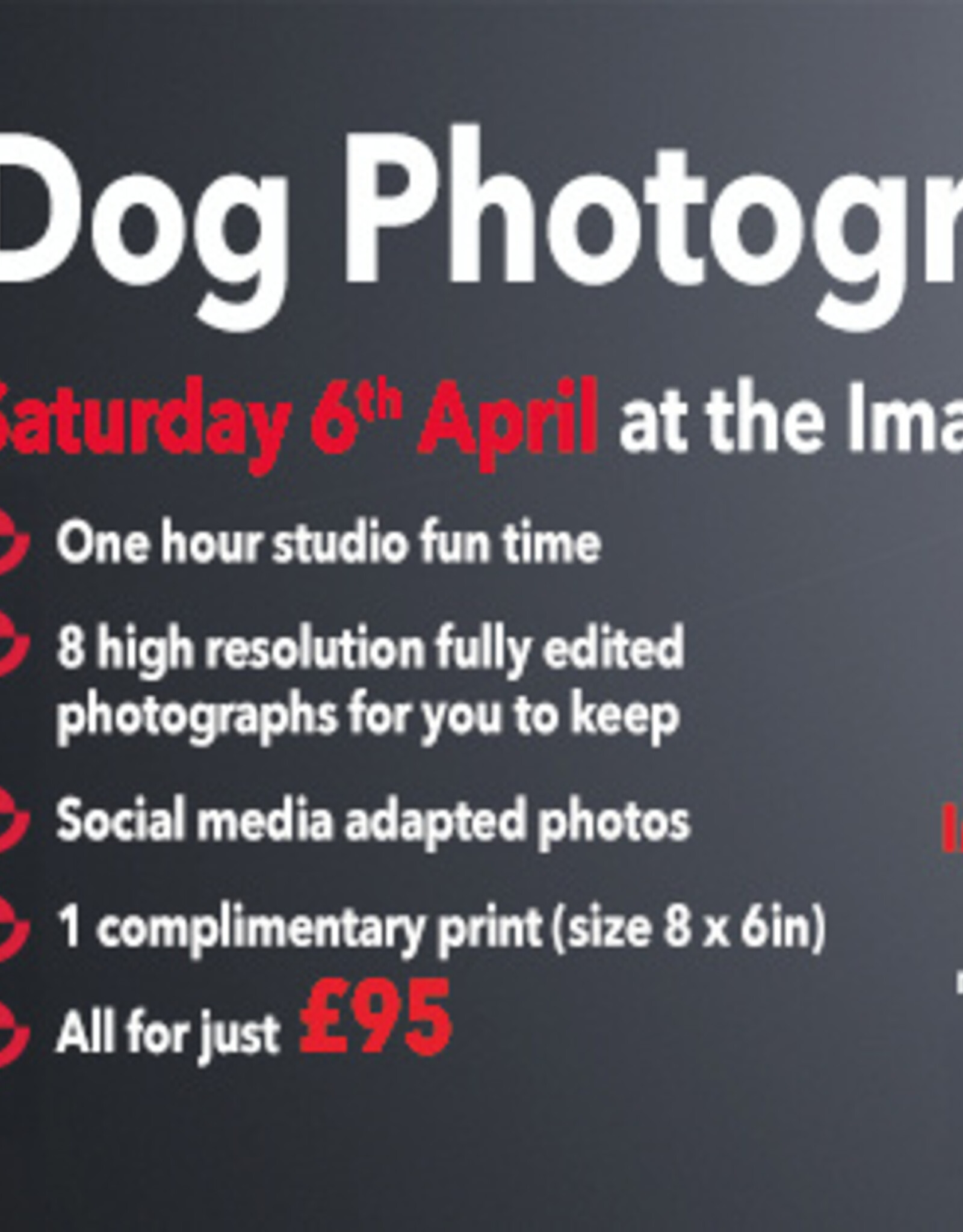 Pet Photography Day with Slice Media DEPOSIT