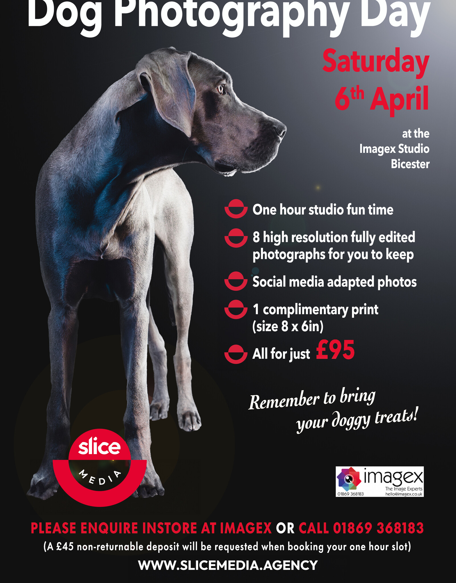 Pet Photography Day with Slice Media DEPOSIT