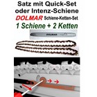 Schneidgarnitur Dolmar ES PS Kettensäge QuickSet Schwert 35cm + 2 x Sägekette 3/8" H 1,3mm Nutbreite