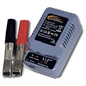 Ladegerät  Batterieladegerät Automatiklader Batterie Frischhaltegerät AL300Pro